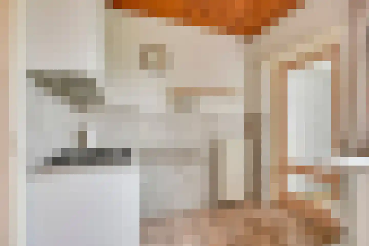 Zuivelstraat 9 Didam thumbnail 7