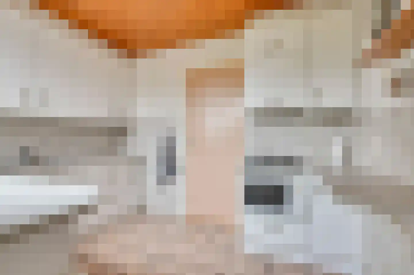 Zuivelstraat 9 Didam thumbnail 8