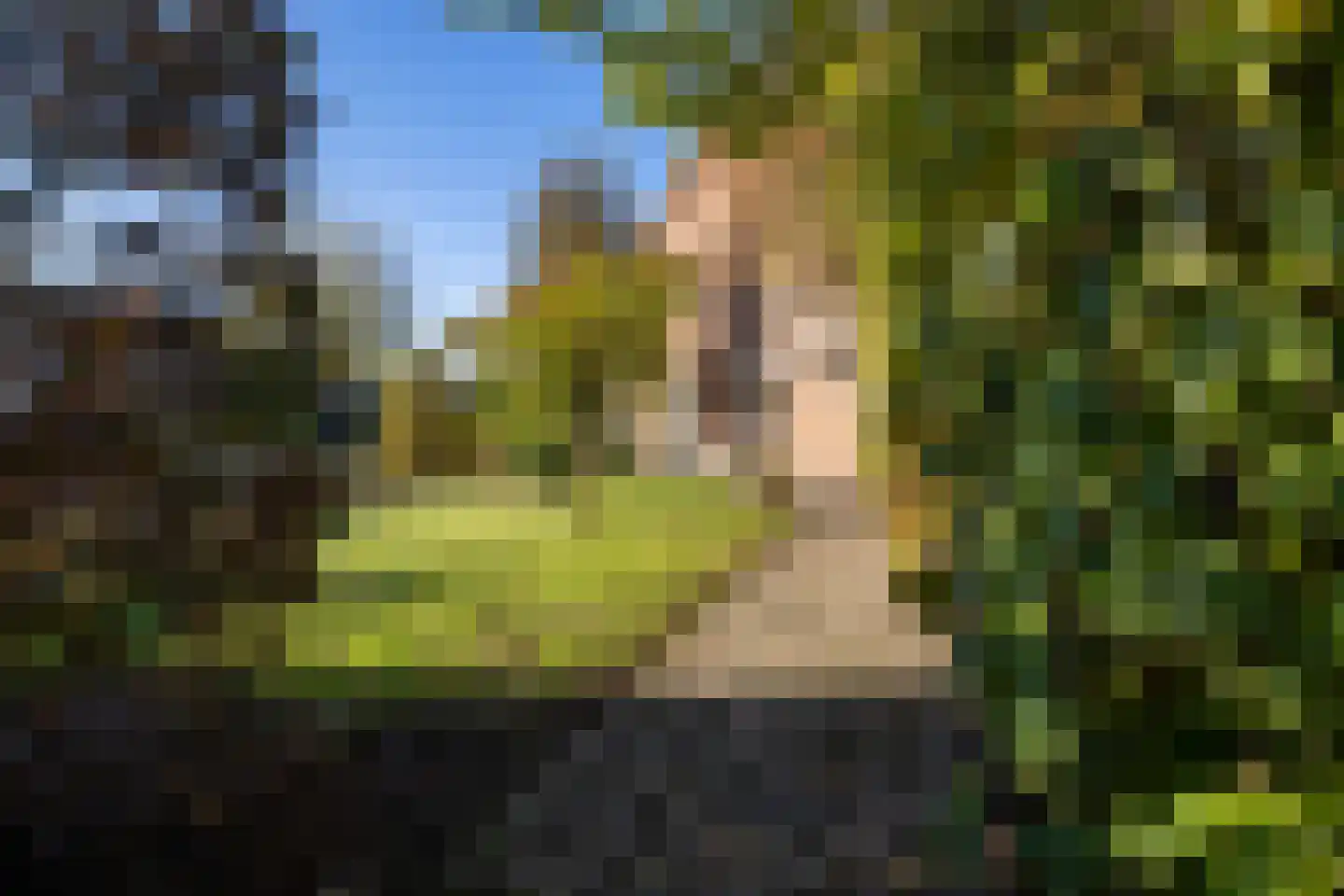 Zuivelweg 108 Doetinchem thumbnail 19