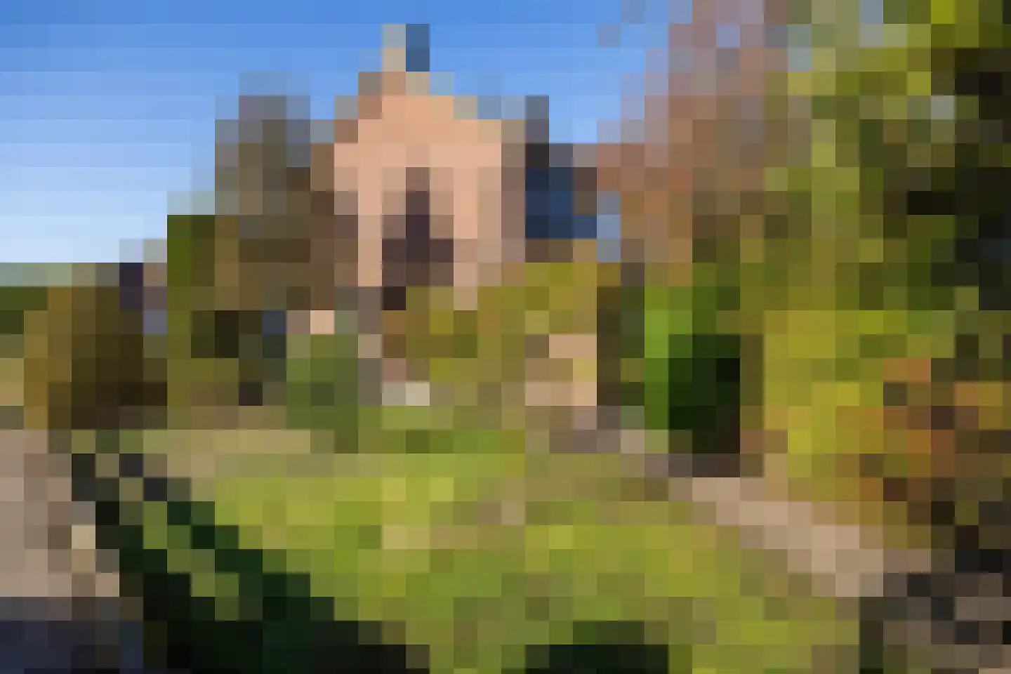 Zuivelweg 108 Doetinchem thumbnail 20