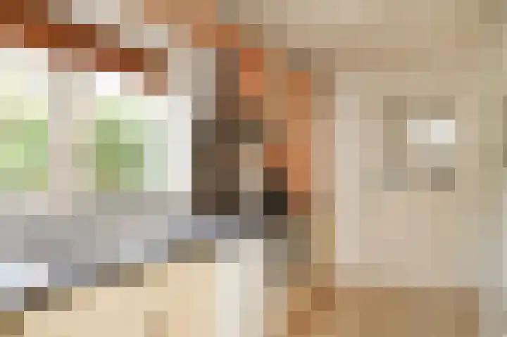 Zuivelweg 14 Dreumel thumbnail 14