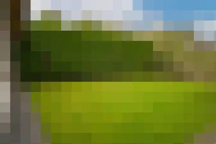 Zuivelweg 14 Dreumel thumbnail 26