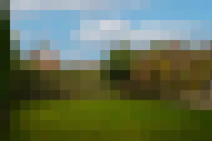 Zuivelweg 14 Dreumel thumbnail 27