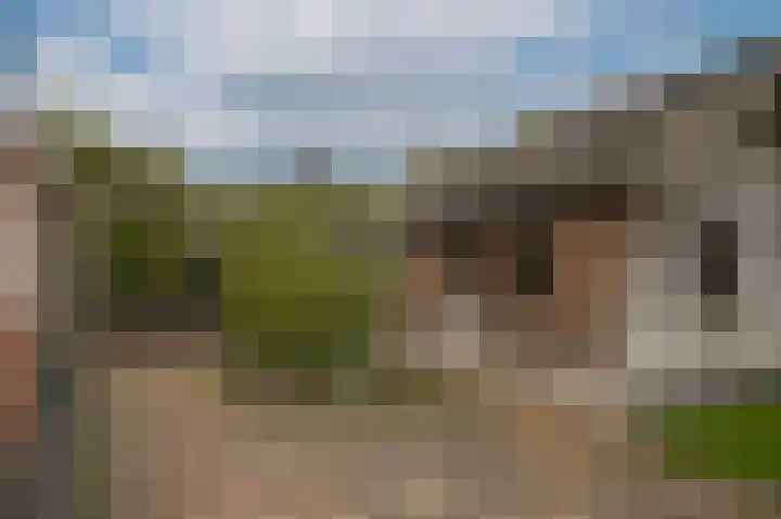 Zuivelweg 14 Dreumel thumbnail 28