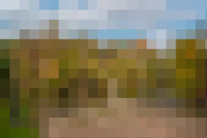 Zuivelweg 14 Dreumel thumbnail 32