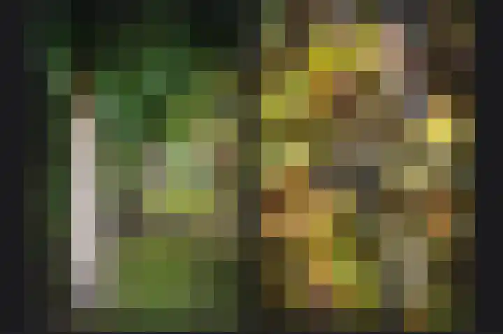 Zuivelweg 14 Dreumel thumbnail 34