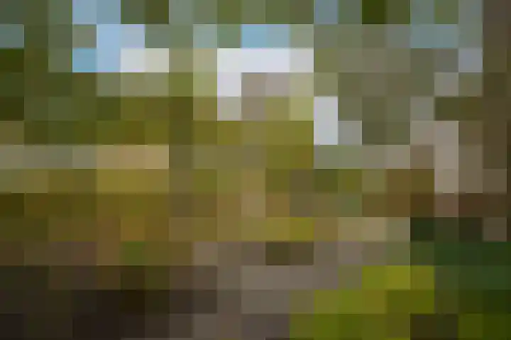 Zuivelweg 14 Dreumel thumbnail 37