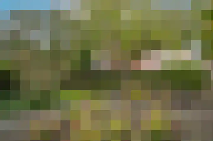 Zuivelweg 14 Dreumel thumbnail 38