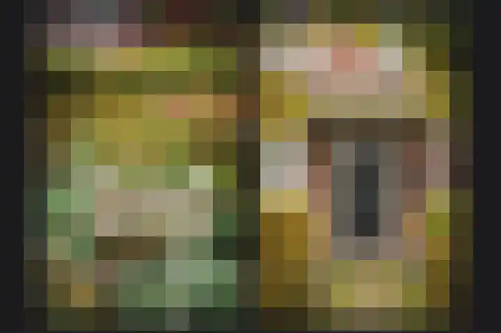 Zuivelweg 14 Dreumel thumbnail 39