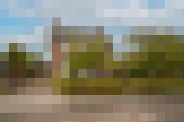 Zuivelweg 14 Dreumel thumbnail 4