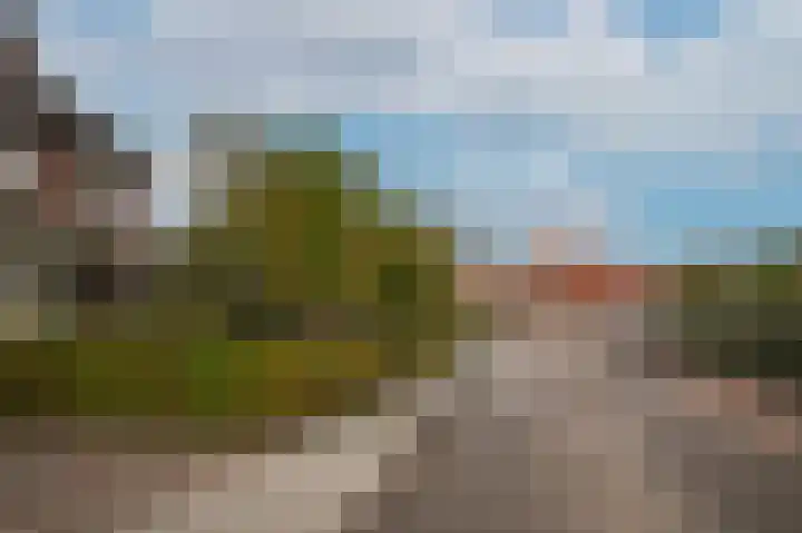 Zuivelweg 14 Dreumel thumbnail 40