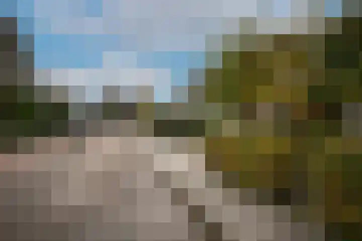 Zuivelweg 14 Dreumel thumbnail 41