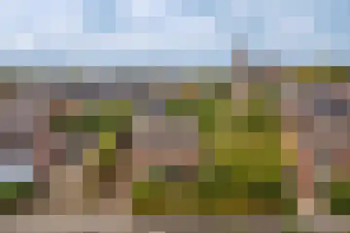 Zuivelweg 14 Dreumel thumbnail 42
