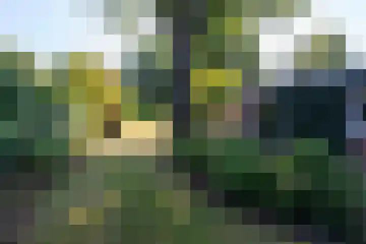 Zuivelweg 147 Doetinchem thumbnail 30