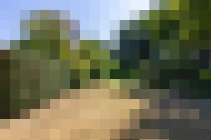 Zuivelweg 147 Doetinchem thumbnail 31
