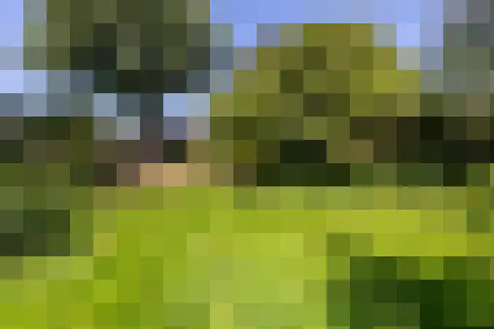 Zuivelweg 147 Doetinchem thumbnail 32