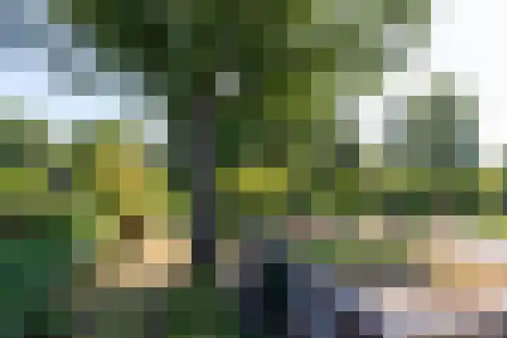 Zuivelweg 147 Doetinchem thumbnail 45