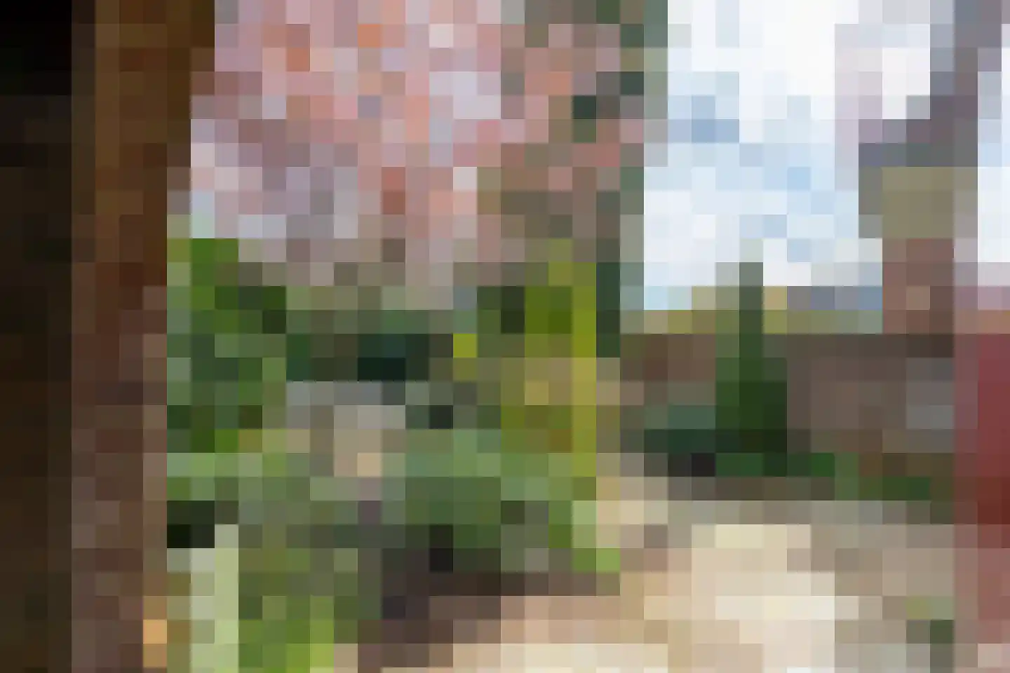 Zuivelweg 17 Doetinchem thumbnail 13