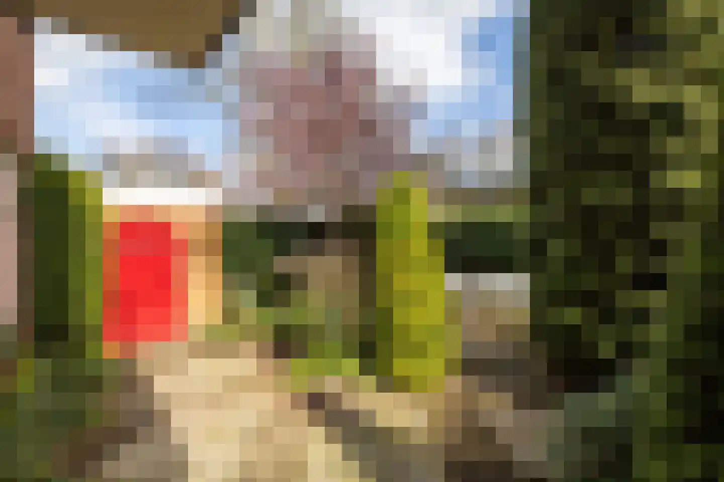 Zuivelweg 17 Doetinchem thumbnail 14