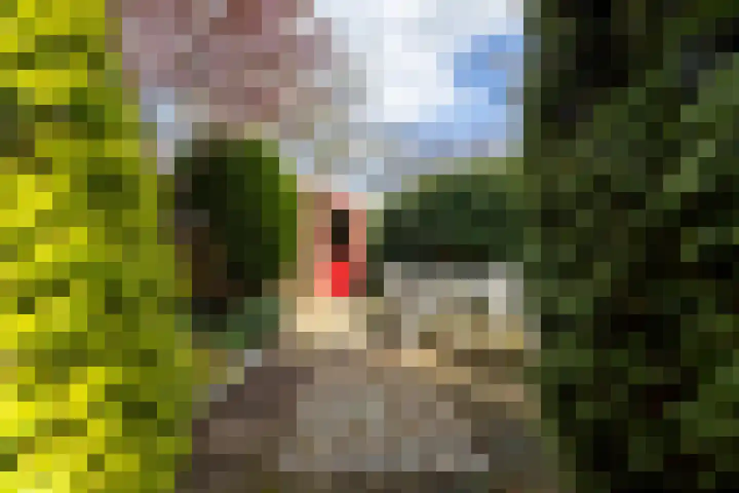 Zuivelweg 17 Doetinchem thumbnail 15