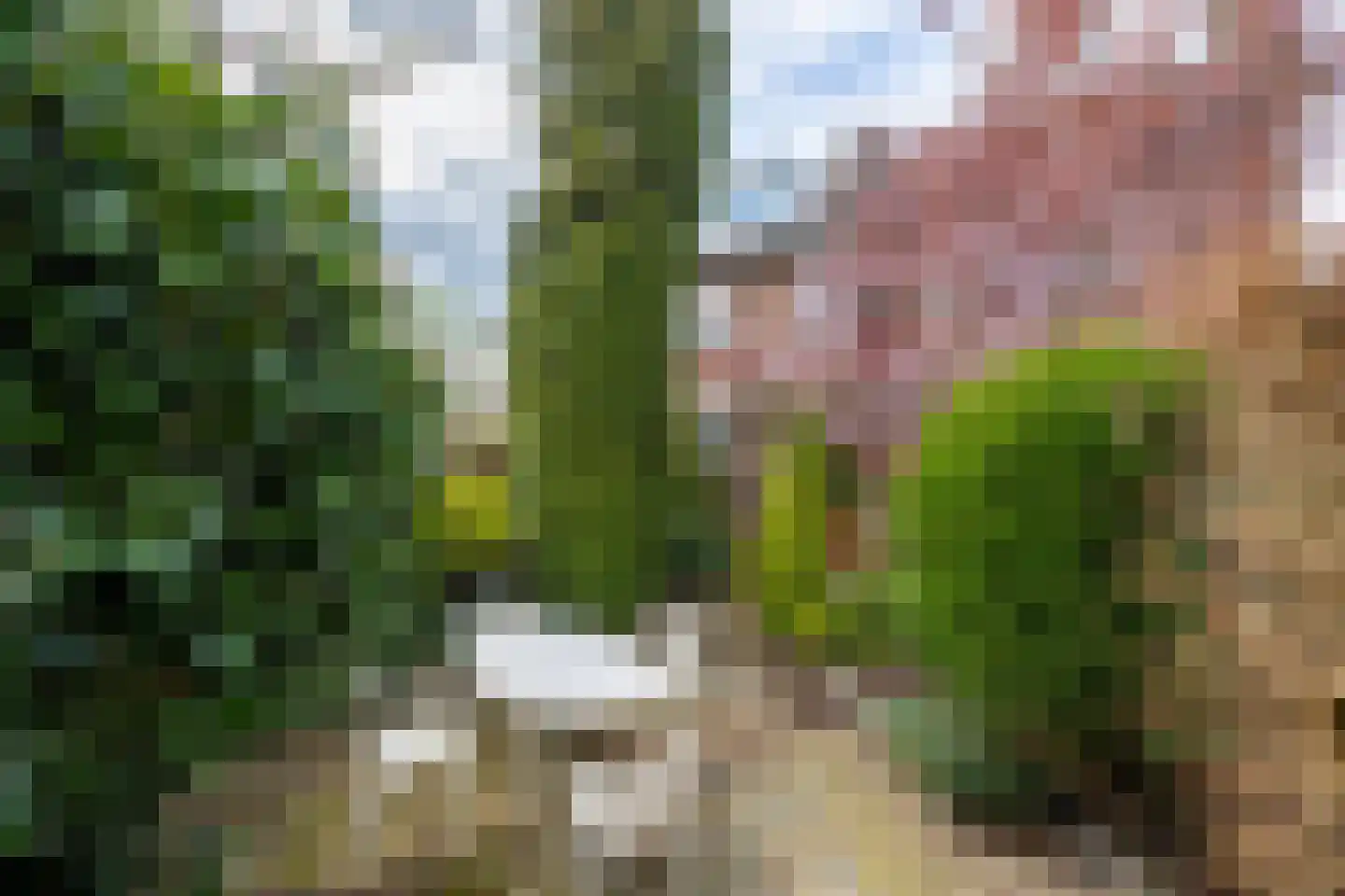 Zuivelweg 17 Doetinchem thumbnail 16