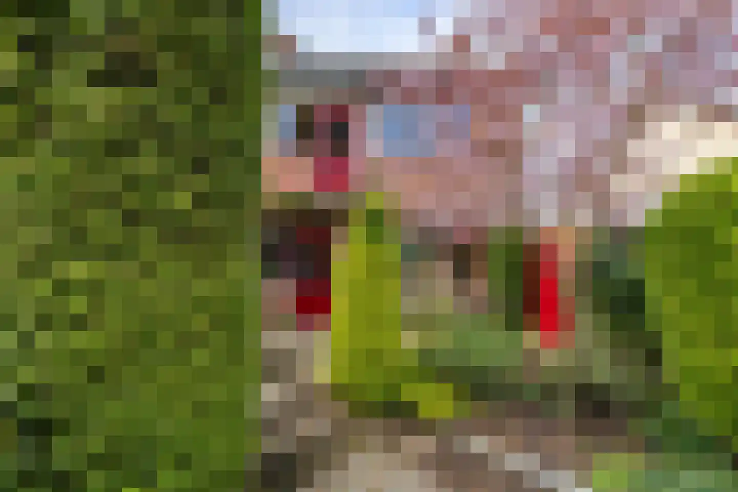 Zuivelweg 17 Doetinchem thumbnail 17