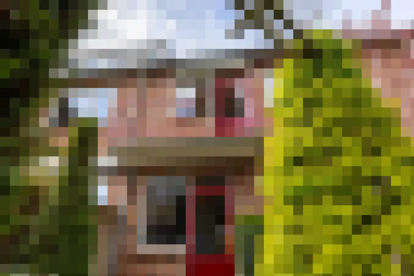 Zuivelweg 17 Doetinchem thumbnail 18