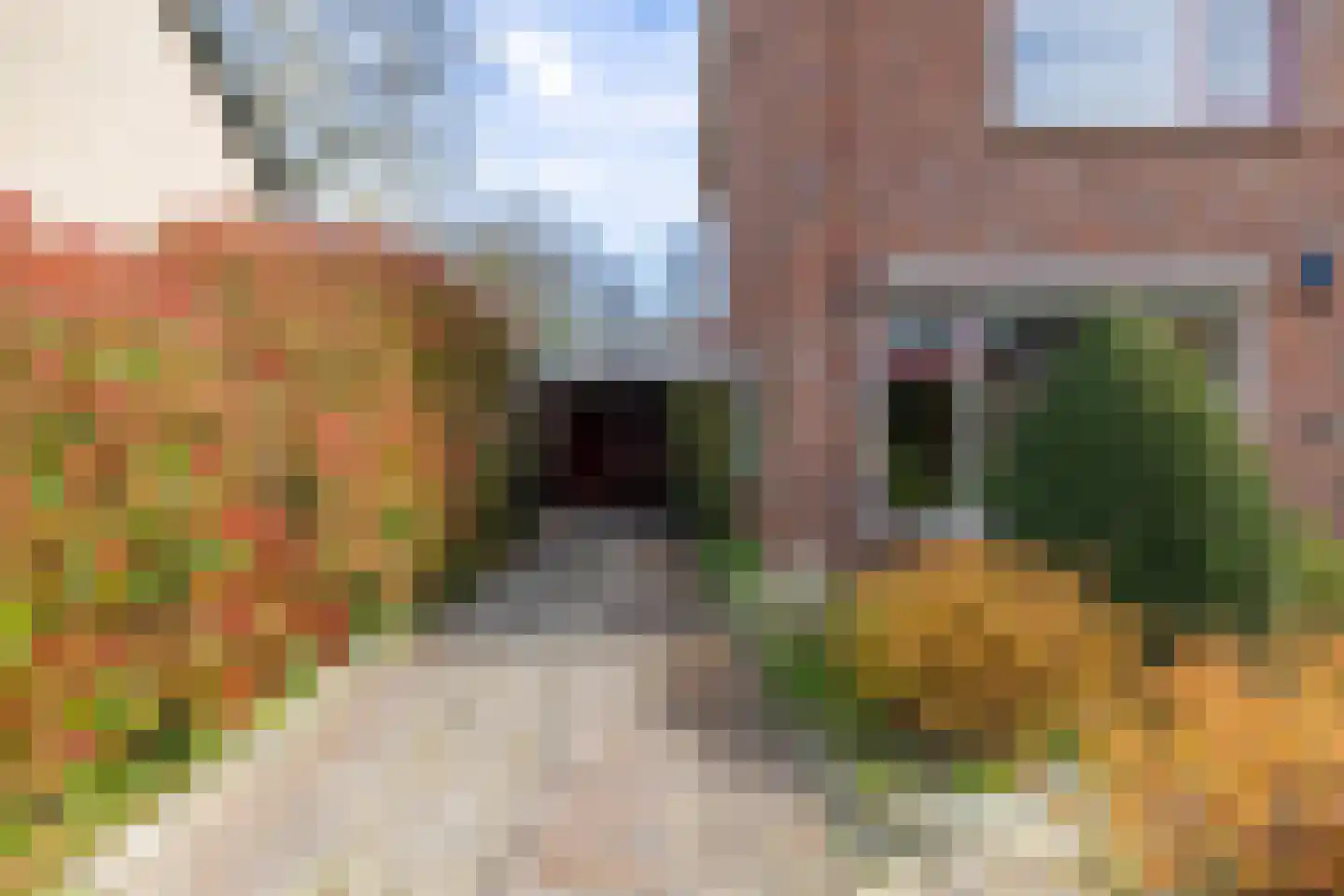 Zuivelweg 17 Doetinchem thumbnail 19