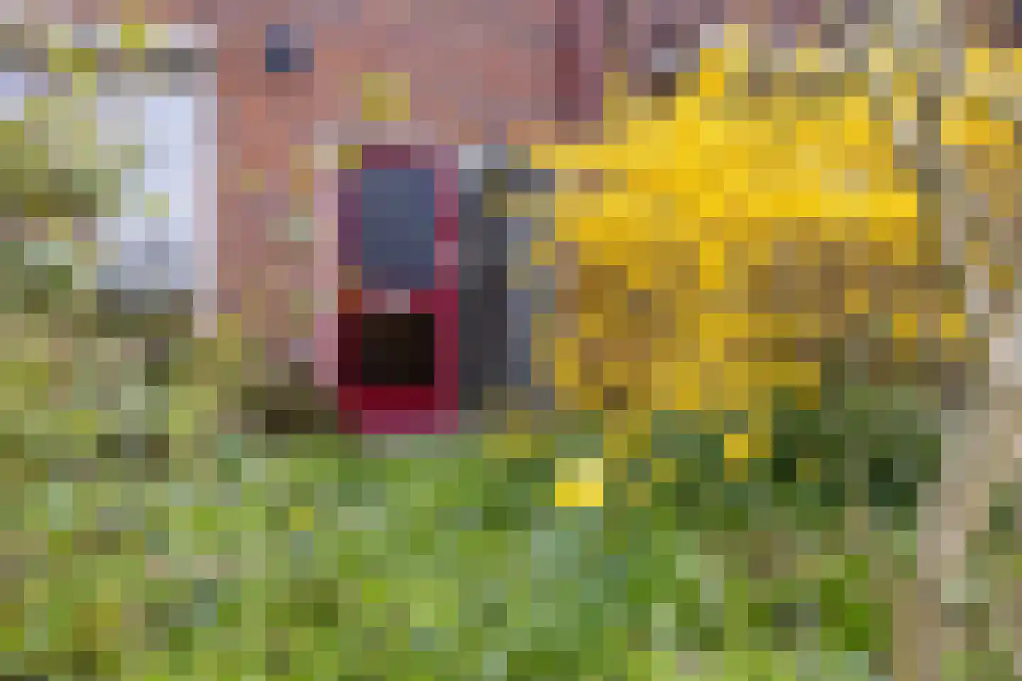 Zuivelweg 17 Doetinchem thumbnail 21