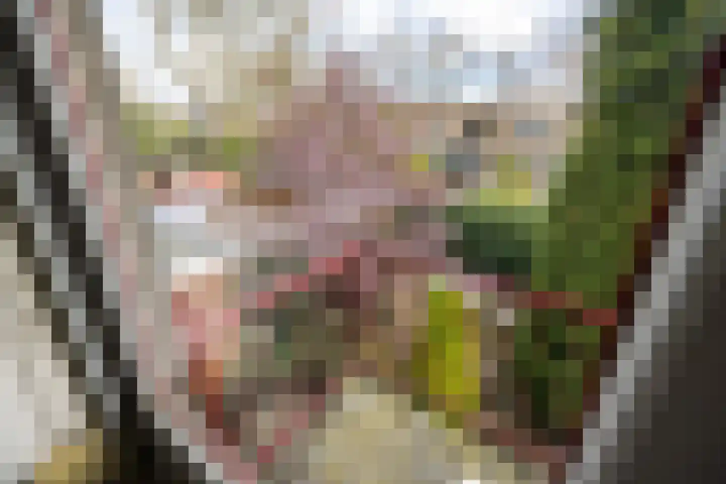 Zuivelweg 17 Doetinchem thumbnail 28