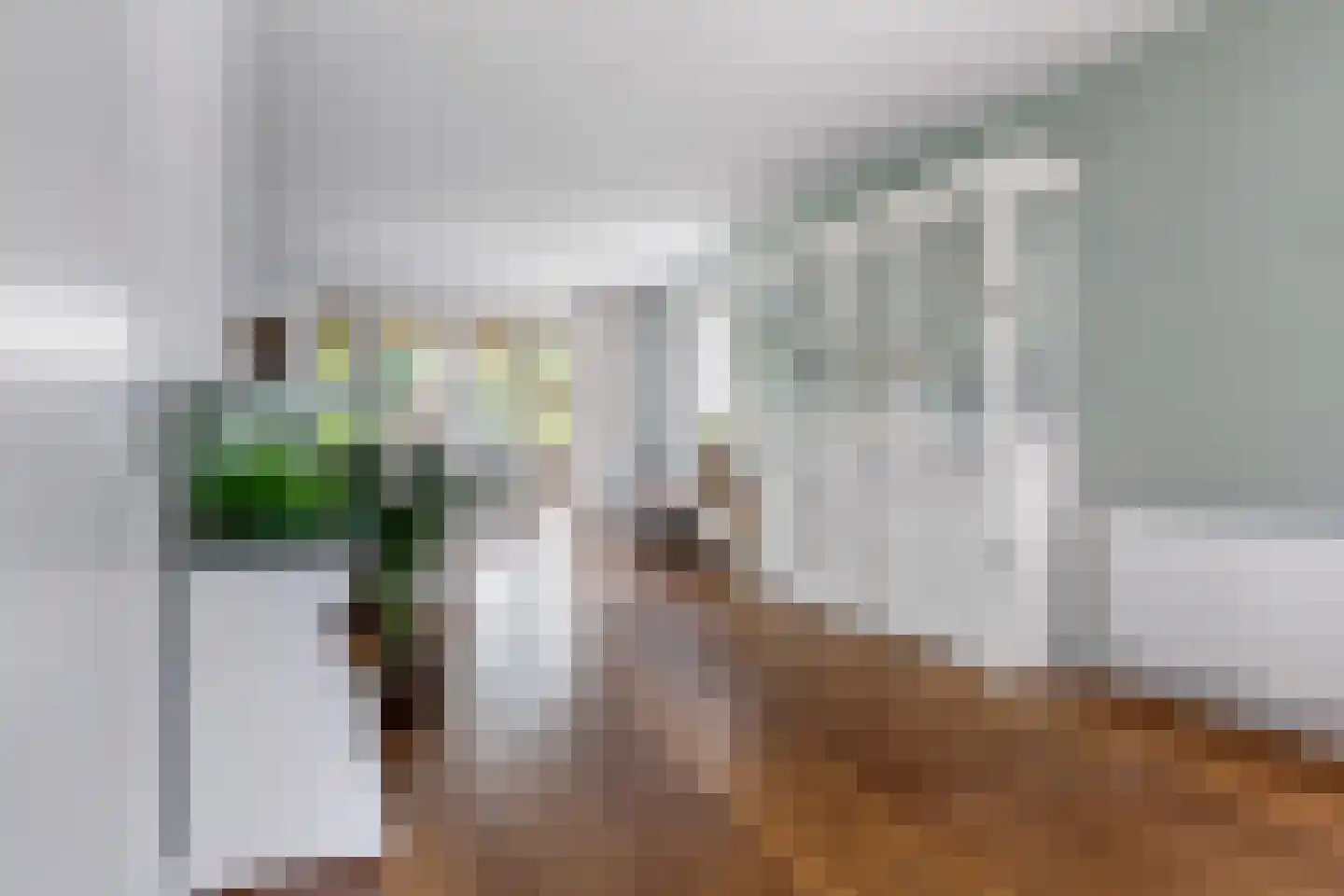 Zuivelweg 22 Oosterzee thumbnail 18