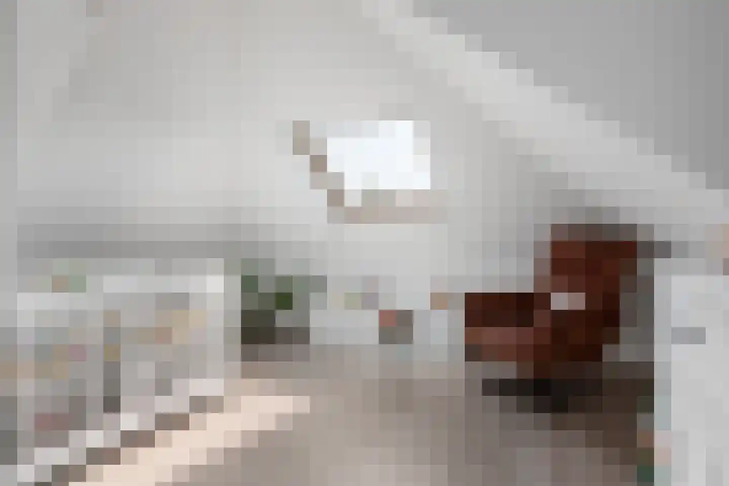 Zuivelweg 22 Oosterzee thumbnail 48