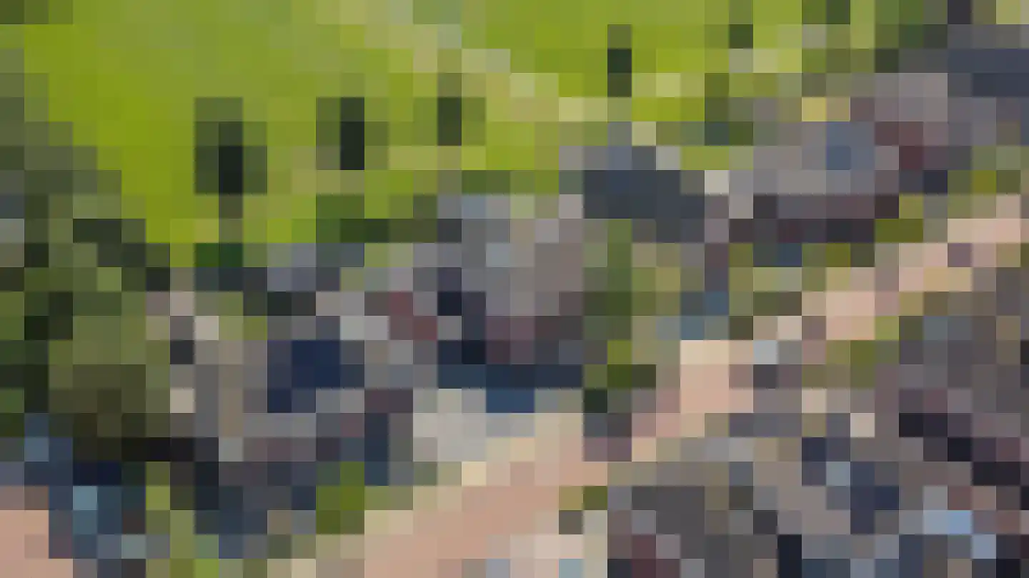 Zuivelweg 22 Oosterzee thumbnail 54