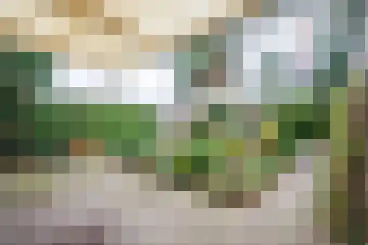 Zuivelweg 28 Doetinchem thumbnail 12