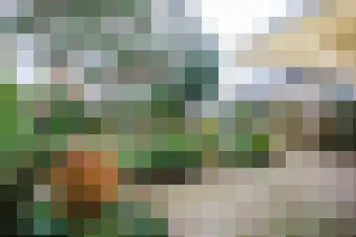 Zuivelweg 28 Doetinchem thumbnail 13