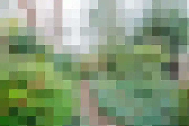 Zuivelweg 28 Doetinchem thumbnail 14