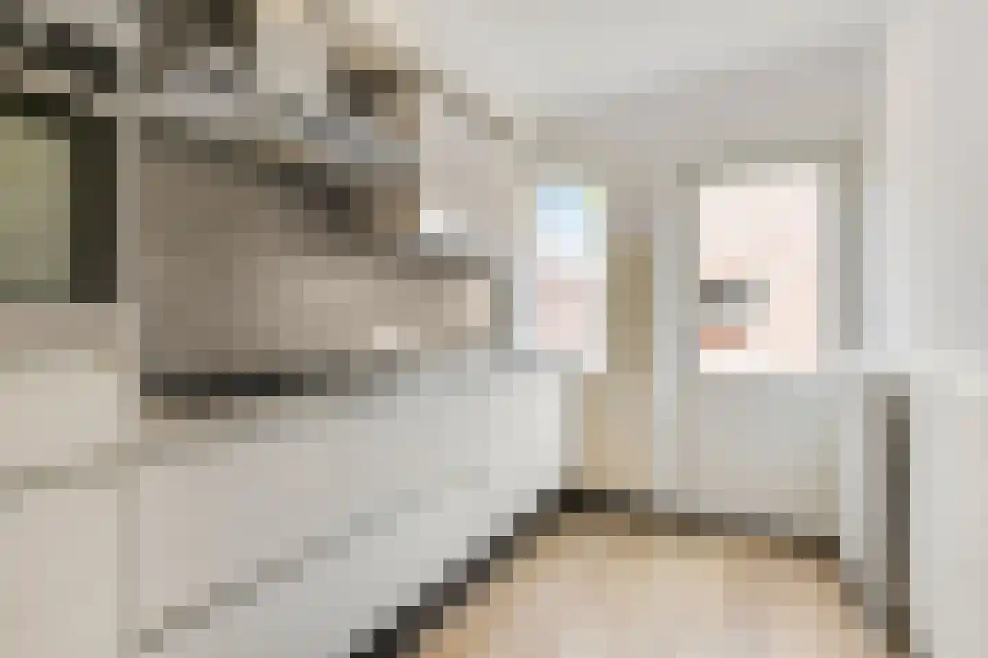 Zuivelweg 69 Doetinchem thumbnail 18