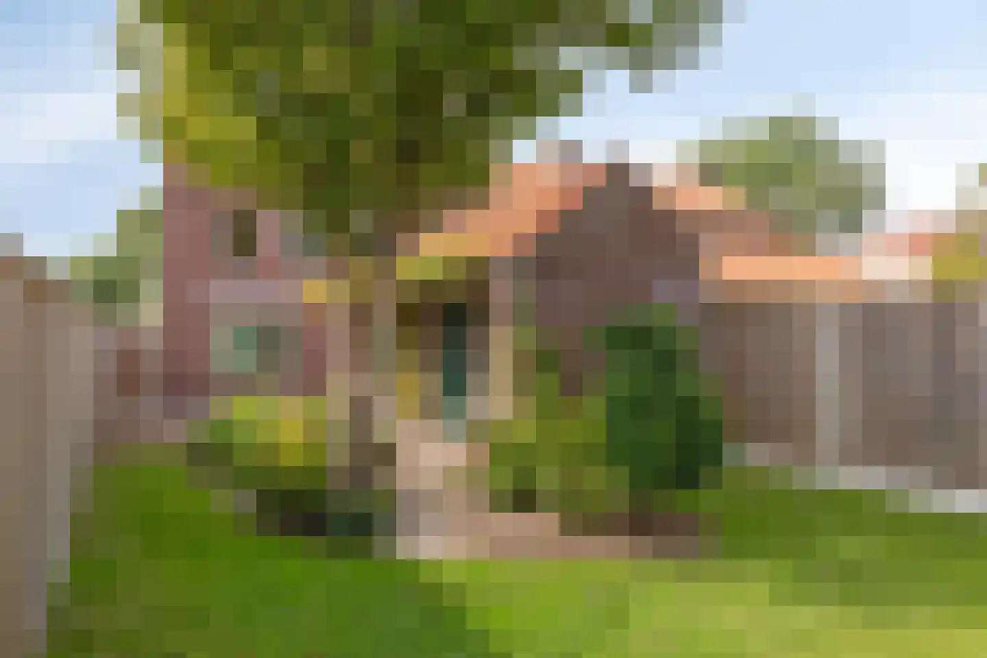 Zuivelweg 69 Doetinchem thumbnail 22