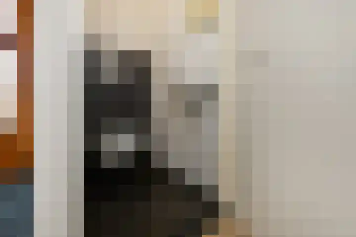 Zülpichhof 19 Elst thumbnail 11