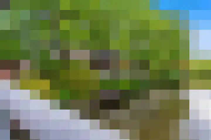 Zülpichhof 19 Elst thumbnail 13
