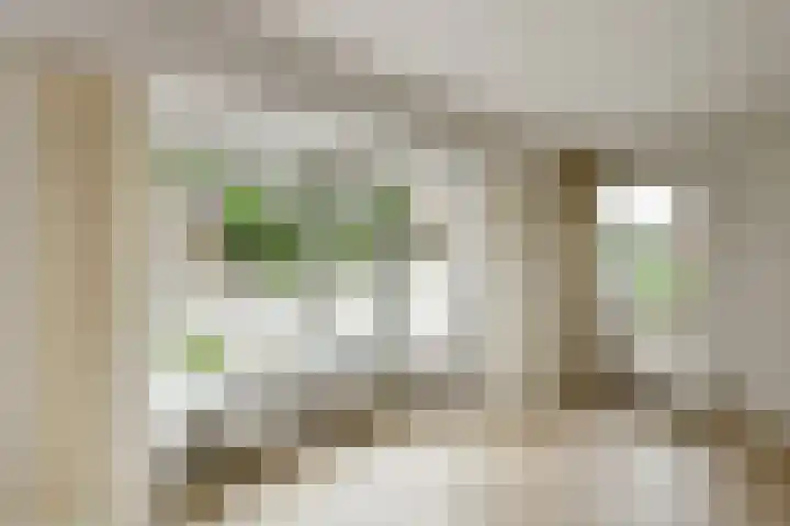 Zülpichhof 19 Elst thumbnail 14