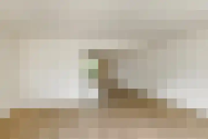 Zülpichhof 19 Elst thumbnail 16