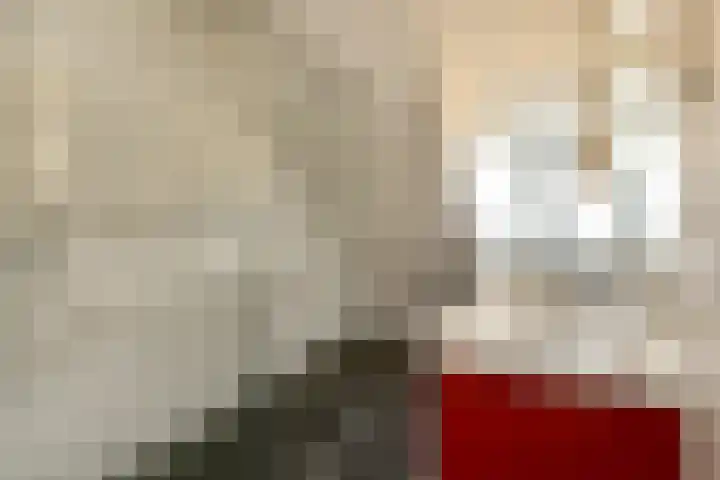 Zülpichhof 19 Elst thumbnail 30