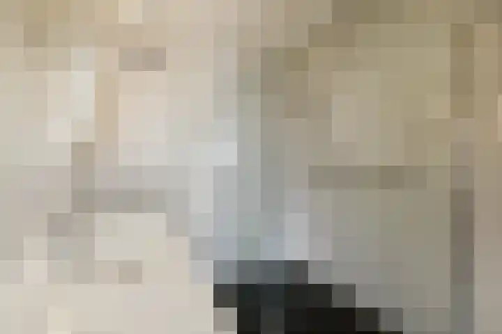 Zülpichhof 19 Elst thumbnail 31