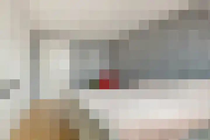 Zülpichhof 19 Elst thumbnail 36
