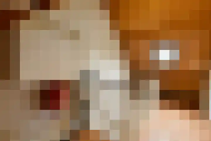 Zülpichhof 19 Elst thumbnail 36