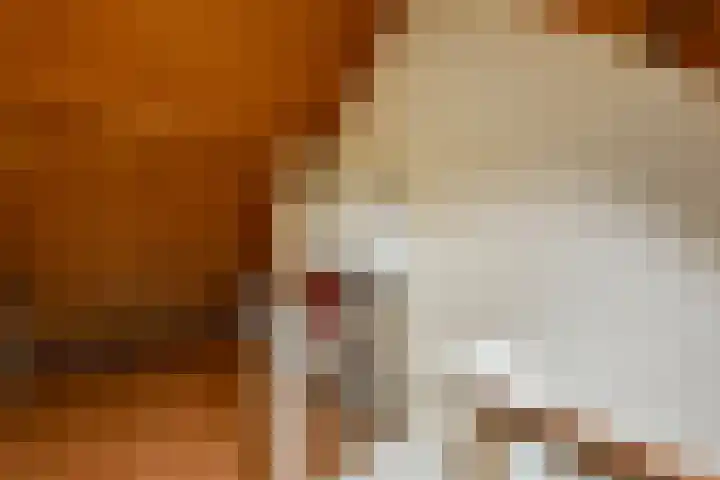 Zülpichhof 19 Elst thumbnail 37