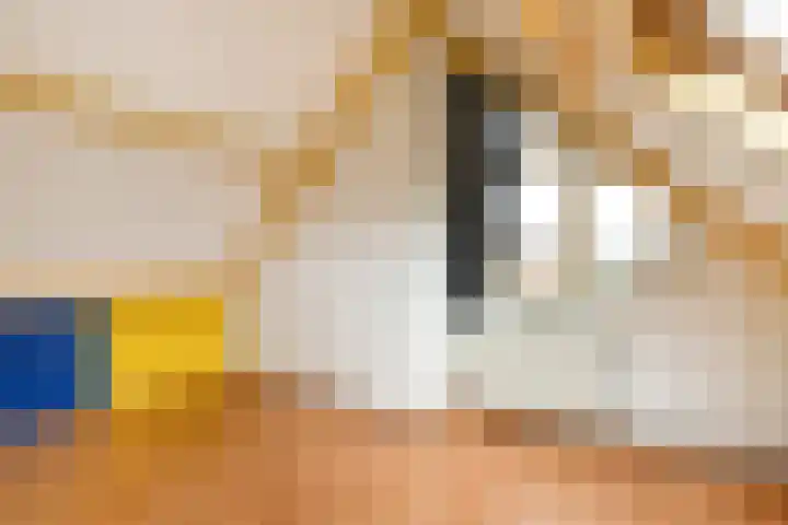 Zülpichhof 19 Elst thumbnail 40
