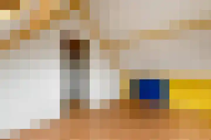 Zülpichhof 19 Elst thumbnail 41