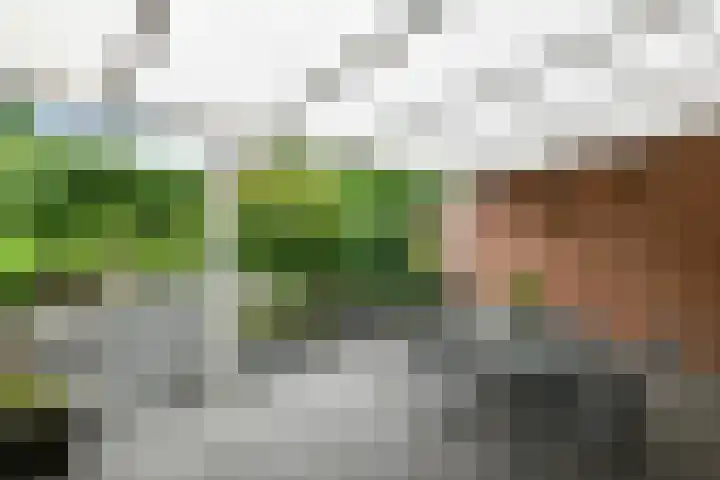 Zülpichhof 19 Elst thumbnail 43
